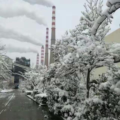 雪后保通畅 厂区道路除雪忙