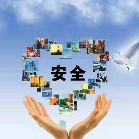 度假区朱老庄镇星光希望小学安全生产月活动纪实