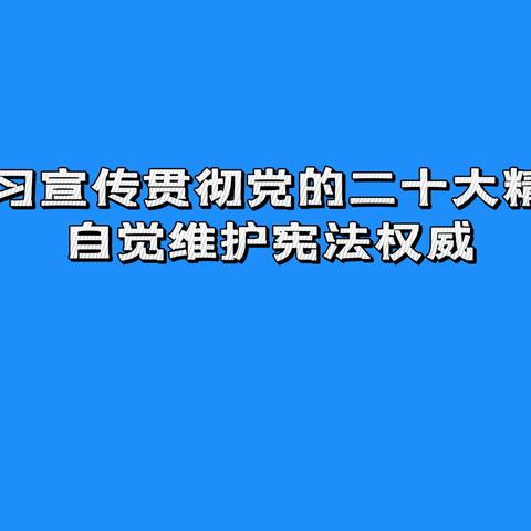 学习宣传贯彻党的二十大精神 自觉维护宪法权威——宁东学校小学部2022宪法宣传周主题活动侧记