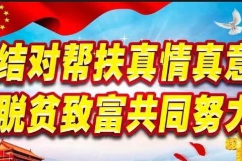 地区自然资源局深入呼玛县新街基村开展“百局联百村”帮扶对接