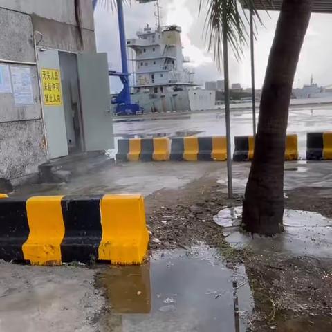 集装箱公司开展2022年度港口设施应急训练