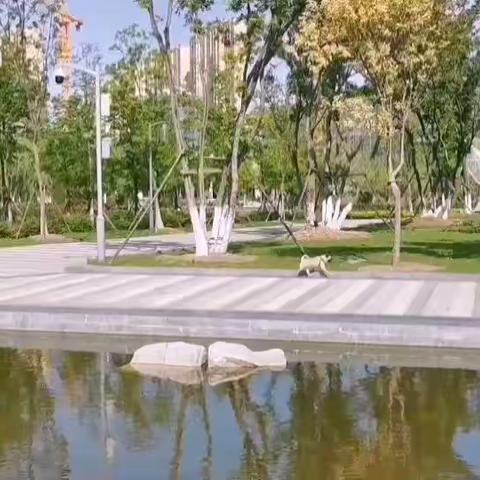 五一劳动节，出去玩喽！