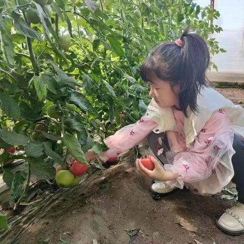 “”我劳动   我快乐  ” 主题实践活动
