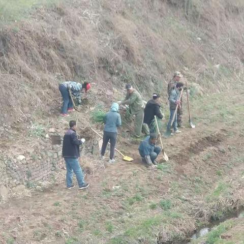 龙凤街道城管科“小开荒”专项整治行动