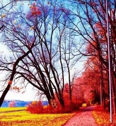 【阅读与欣赏】秋 韵 吟