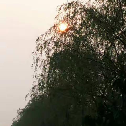 清晨