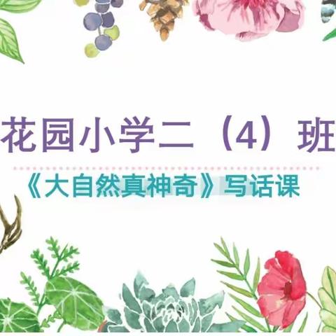 我们的十万个为什么——花园小学二（4）班写话活动课纪实