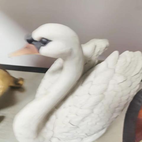 这世界有那么多人