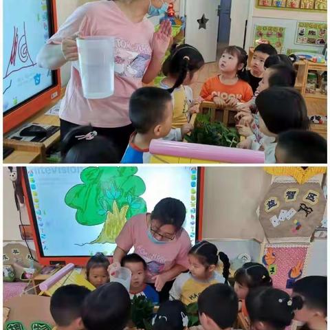 爱护环境，争做绿色小使者——津南一幼金才园“植树节”主题活动（一）