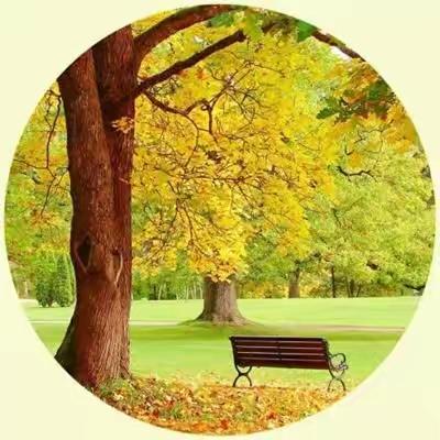 生活不易  心要鲜活