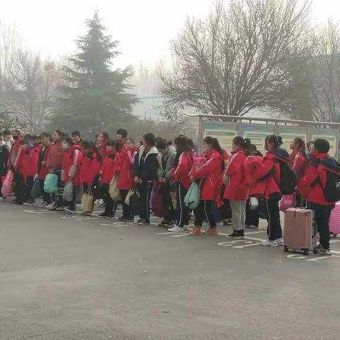 在实践中成长