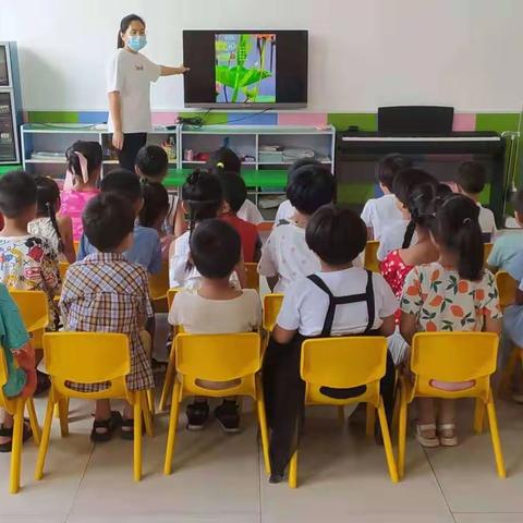 兴安幼儿园二十四节气——小暑