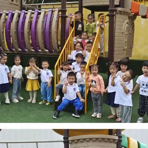 梅苑中心幼儿园【快乐三班 】开学季