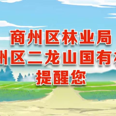 加强森林防火宣传 切实筑牢春节“防火墙”