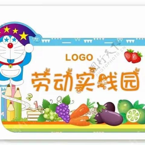 二④班周末劳动实践活动——电饭煲煮饭