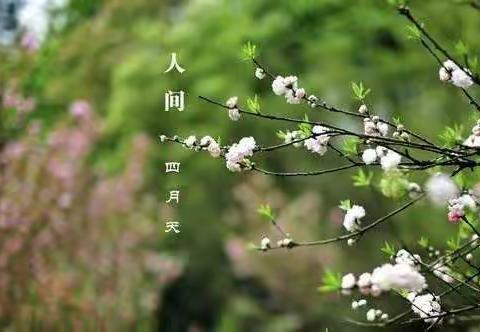 四月芳菲，自律最美