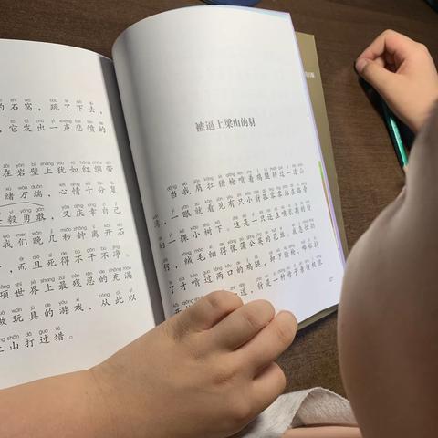 北垣小学二七班贺振华暑假阅读