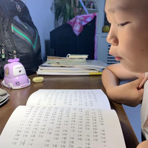 北垣小学二七班贺振华暑假阅读