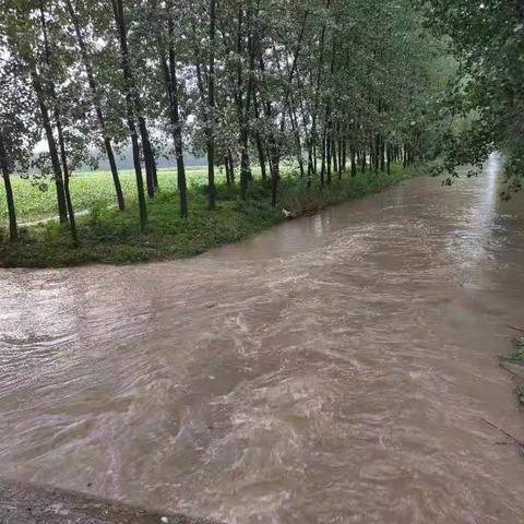 【新时代文明实践，铜山在行动】防汛抗旱—沈桥村在行动