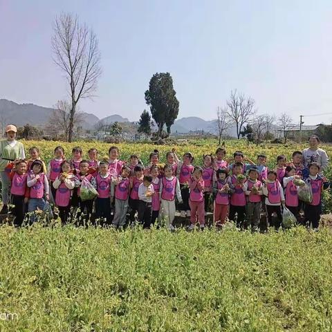 云舟幼儿园果果三班春游活动
