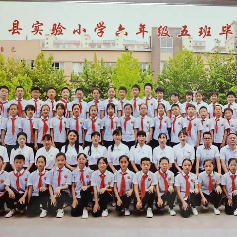 这一年，我们相依相伴——实验小学六五班毕业总结