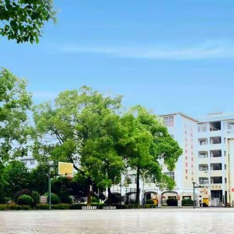 因爱而来 用心呵护——会同第一完全小学2102班护学岗