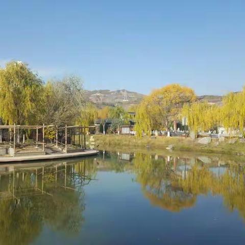 诗意秋语浓 落叶舞纷飞 童年最美的回忆——秋游活动小记