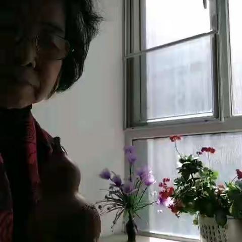 这是一个不同寻常安静的春节！