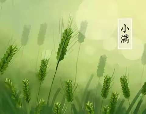 美味小满、丰富盈满——郧阳新天地幼儿园五月第4周食谱