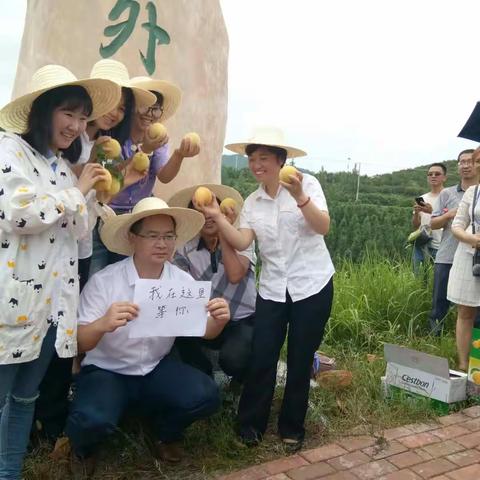 湖南大黔阳黄桃汁多肉厚