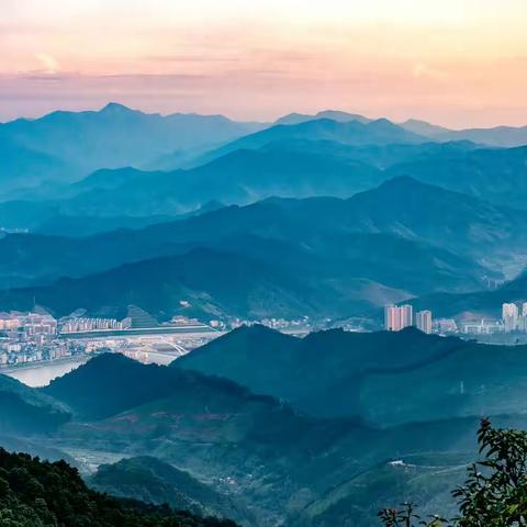 魅力西芹