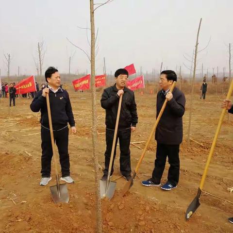 开发区组织企业积极参加义务植树活动