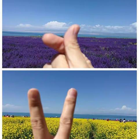 青甘大环线