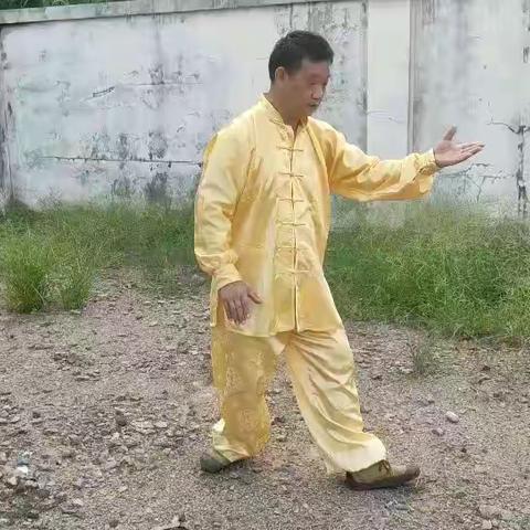 栩栩如生惟妙惟肖