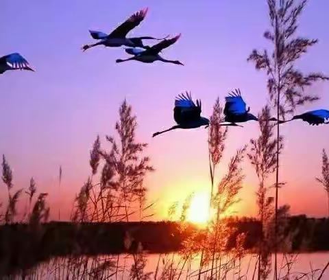 电力工的四季歌（组诗）