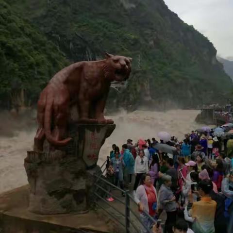 神往的香格里拉，冒雨挺进虎跳峡