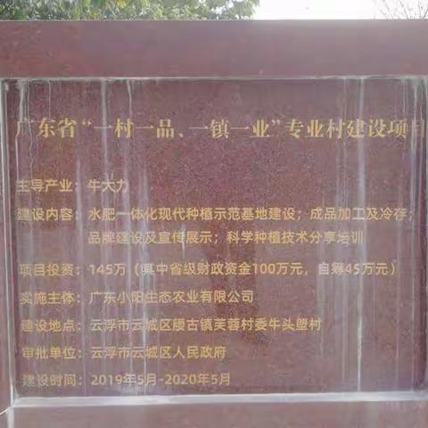 云浮市关工委领导下乡调研