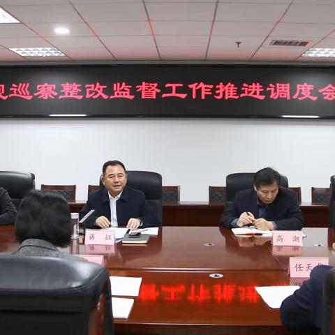 区纪委监委召开巡视巡察整改监督工作推进调度会