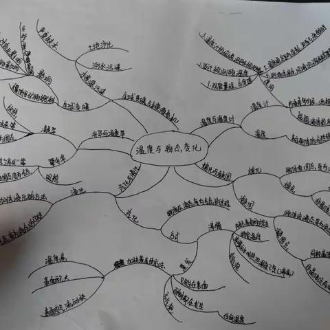 学生思维导图作品集（二）