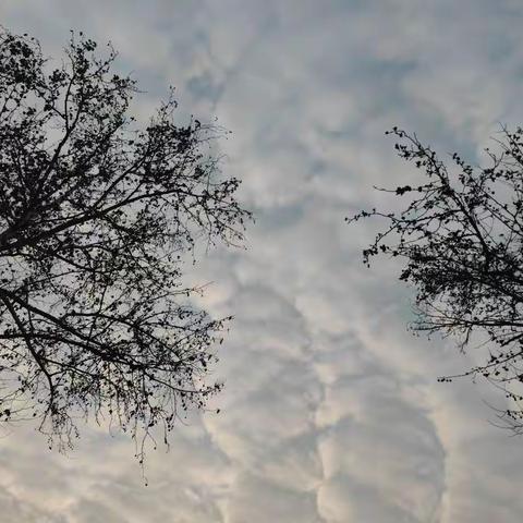 椰海学校九（6）班开学报名通知