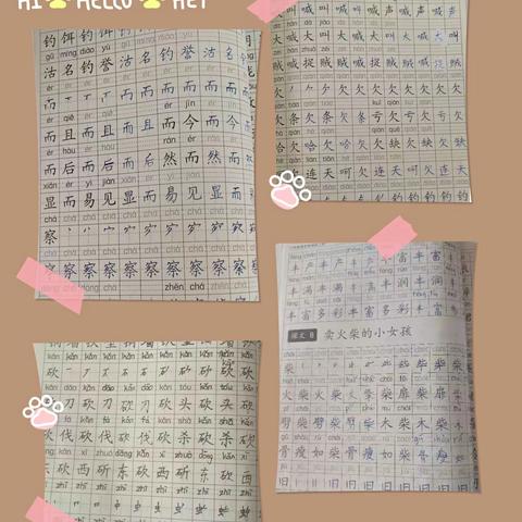 缤纷盛夏收获美好