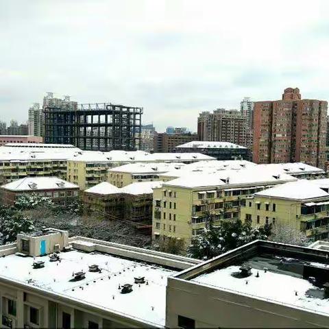 2018年元月上海第一场雪(长风，天山，中山公园雪景)