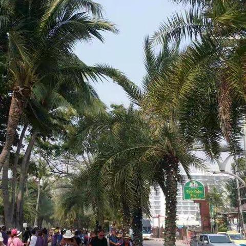 泰国芭堤雅 -----金沙岛(又名:格兰岛)