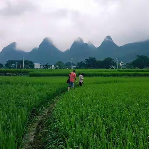 2019贵州之旅10~兴义山风逸栈 ，我们向往的生活