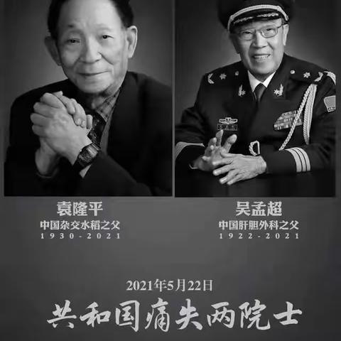 ［仁合社区 天天向上］“学党史 明党规 悟思想 跟党走”纪念特期【禾下丹心 胆肝相照】