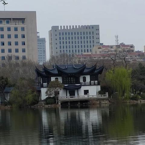 相聚回笼窝，戏马台 燕子楼