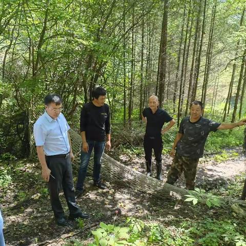 辽宁省农业科学院专家到新宾满族自治县榆树乡罗圈村调研指导山野菜种植项目