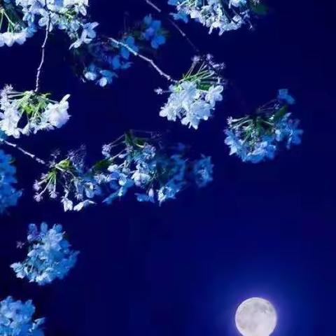 爱在路上（17）――柘荣博爱慈善基金会捐助贫病交加的高龄家庭