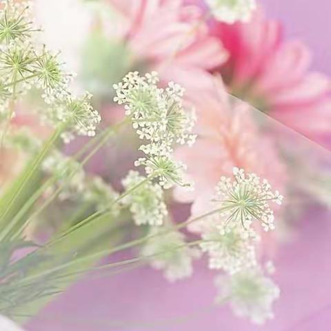 爱在路上（12）――柘荣博爱慈善基金会捐助患癌家庭