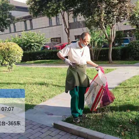 绿化养护正当时－未央区绿化养护工作常态化进行中